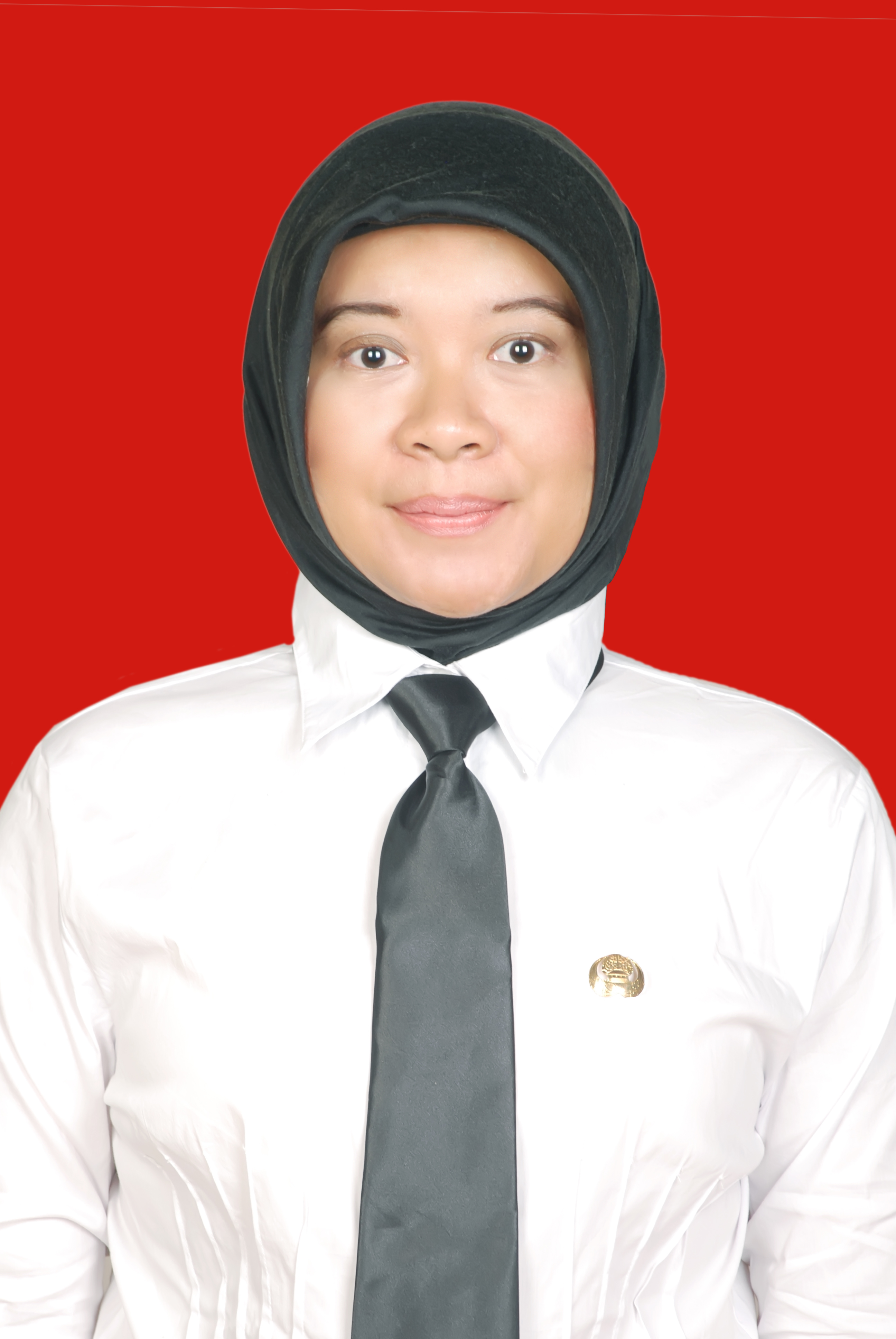 https://b.pakki.org/storage/anggota/bageur-240305092741.jpeg